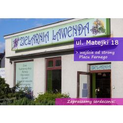 matejki1.jpg