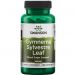 Gymnema Sylvestre 400mg 100kaps Swanson