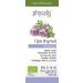Olejek Eteryczny Tymianek Thymus Zygis Thymol (Tijm Thymol) BIO 10ml Physalis