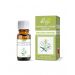 Olejek Eukaliptus cytrynowy 10ml Etja