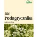 Liść podagrycznika 50g Flos