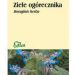Ogórecznik ziele 50g Flos
