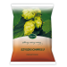Szyszka chmielu 25g Kawon