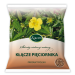Pięciornik kłącze 50g Kawon