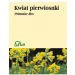 Pierwiosnki kwiat 50g Flos