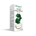 Tinctura Ginkgo Bilobae 100ml Herbapol