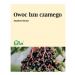 Bez czarny owoc 50g Flos