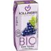 Napój z Czerwonych Winogron BIO 200ml Hollinger