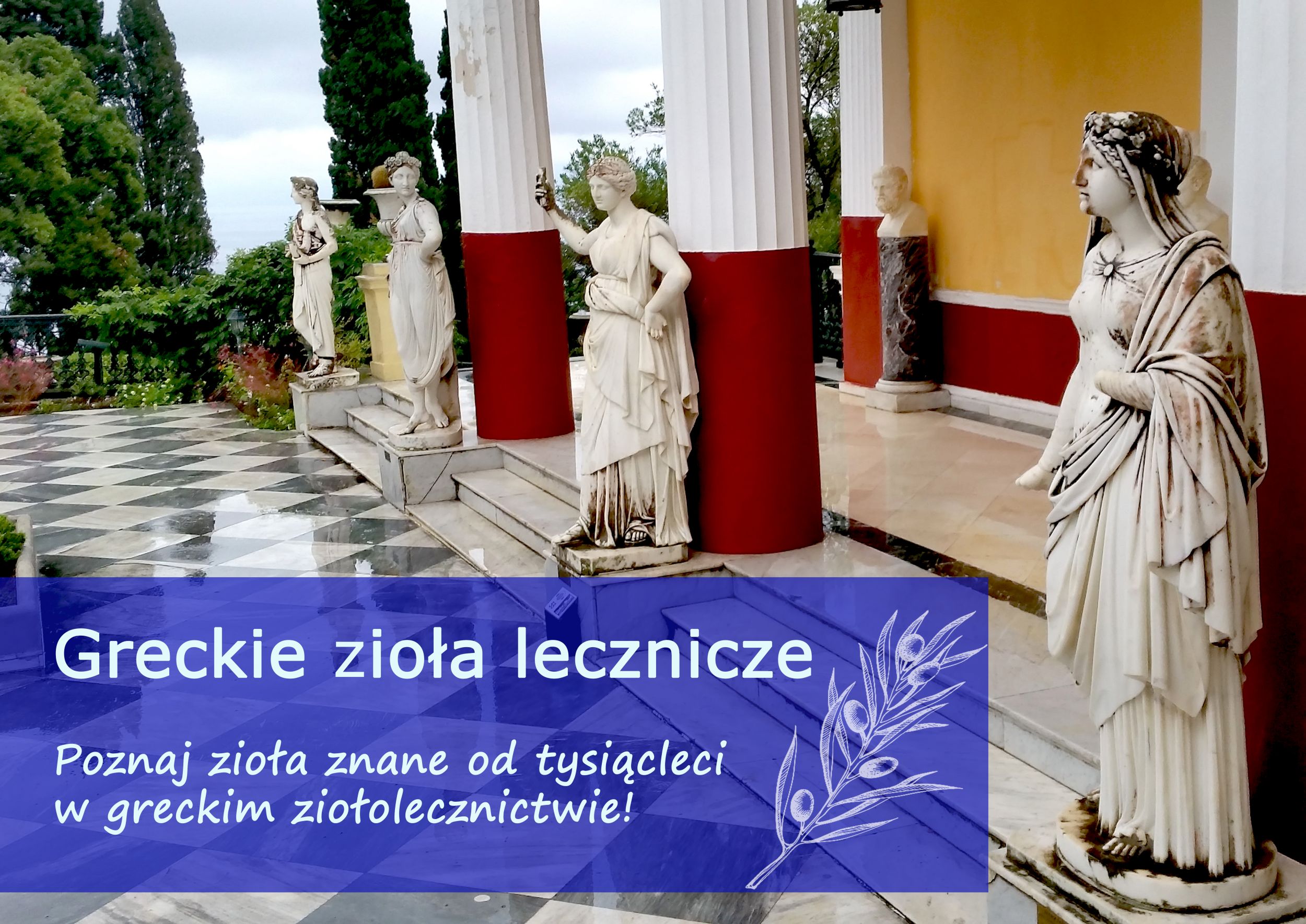 greckie_ziola_lecznicze.jpg