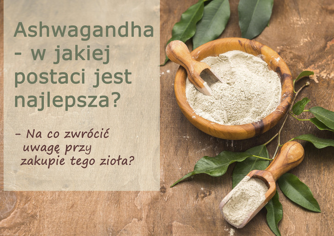 jaka_ashwagandha_jest_najlepsza_(1).jpg