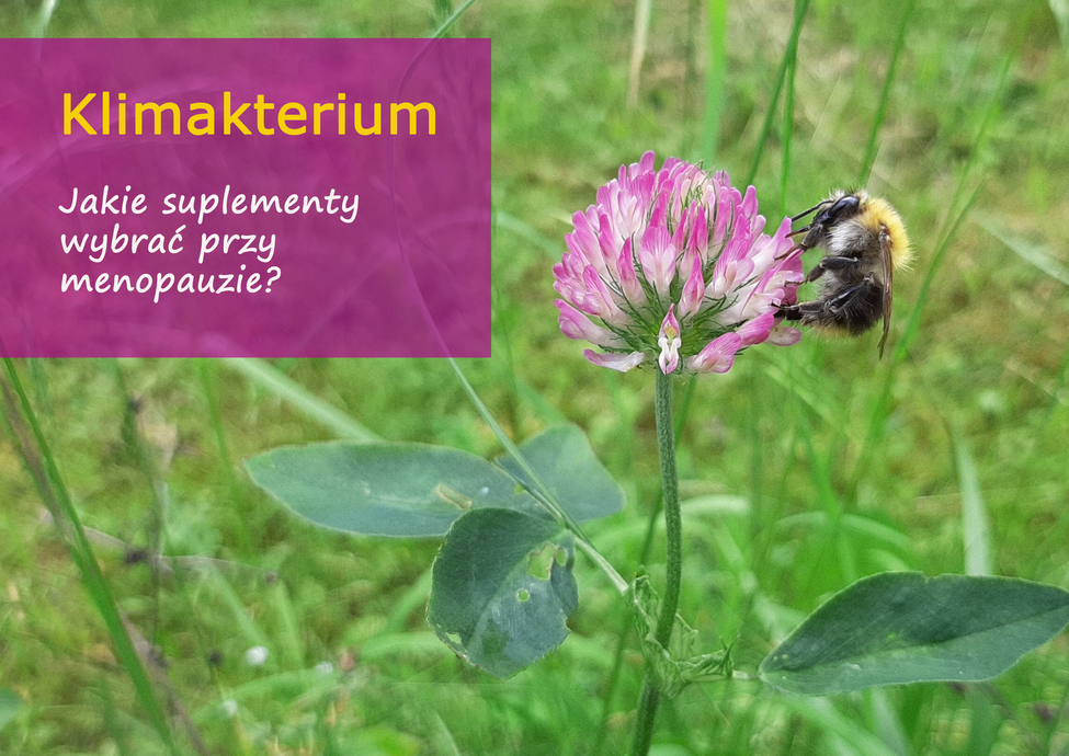 klimakterium_suplementy_1_15.jpg