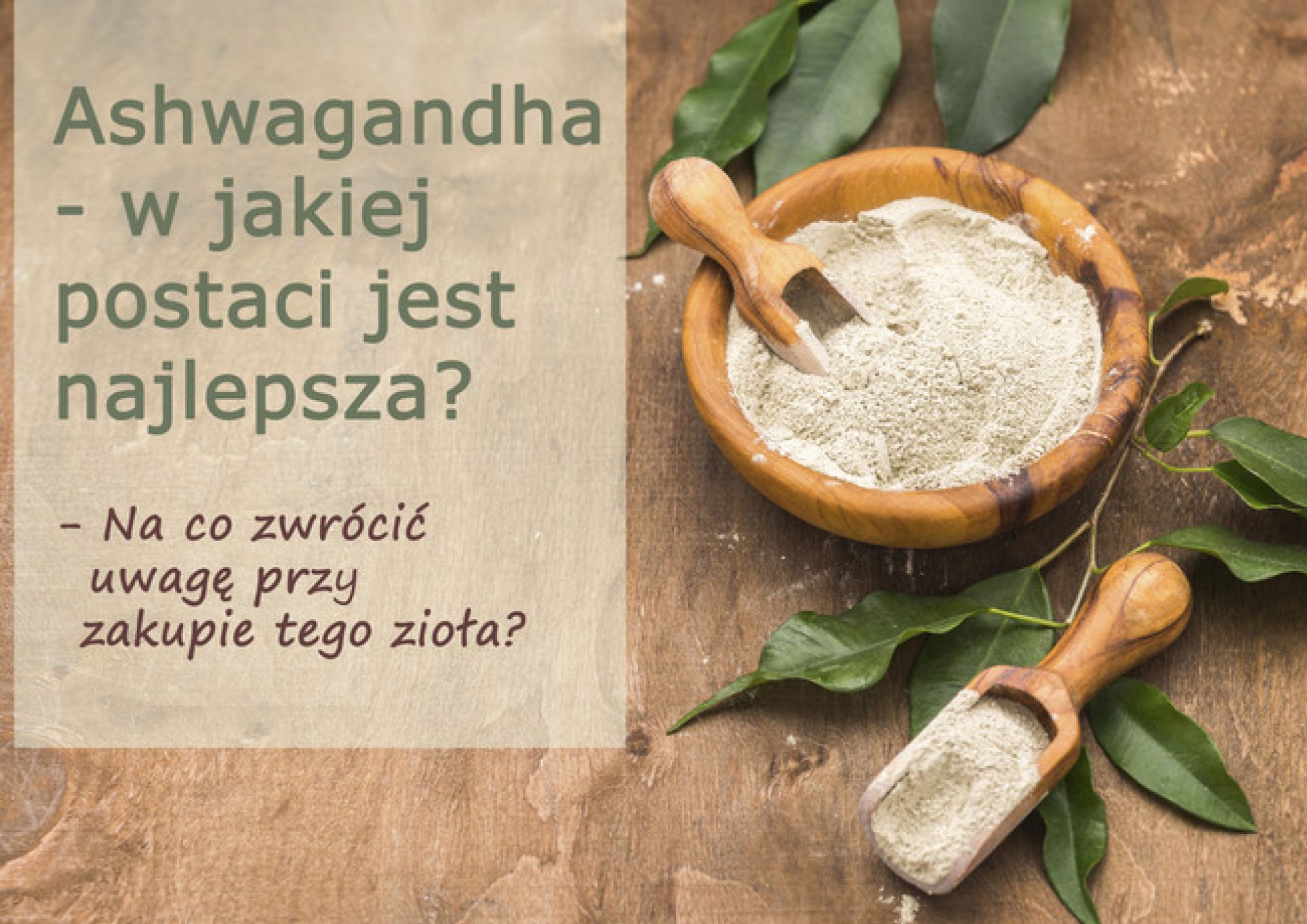 Jaka ashwagandha jest najlepsza? Na co zwrócić uwagę przy zakupie? - jaka_ashwagandha_jest_najlepsza_(1).jpg