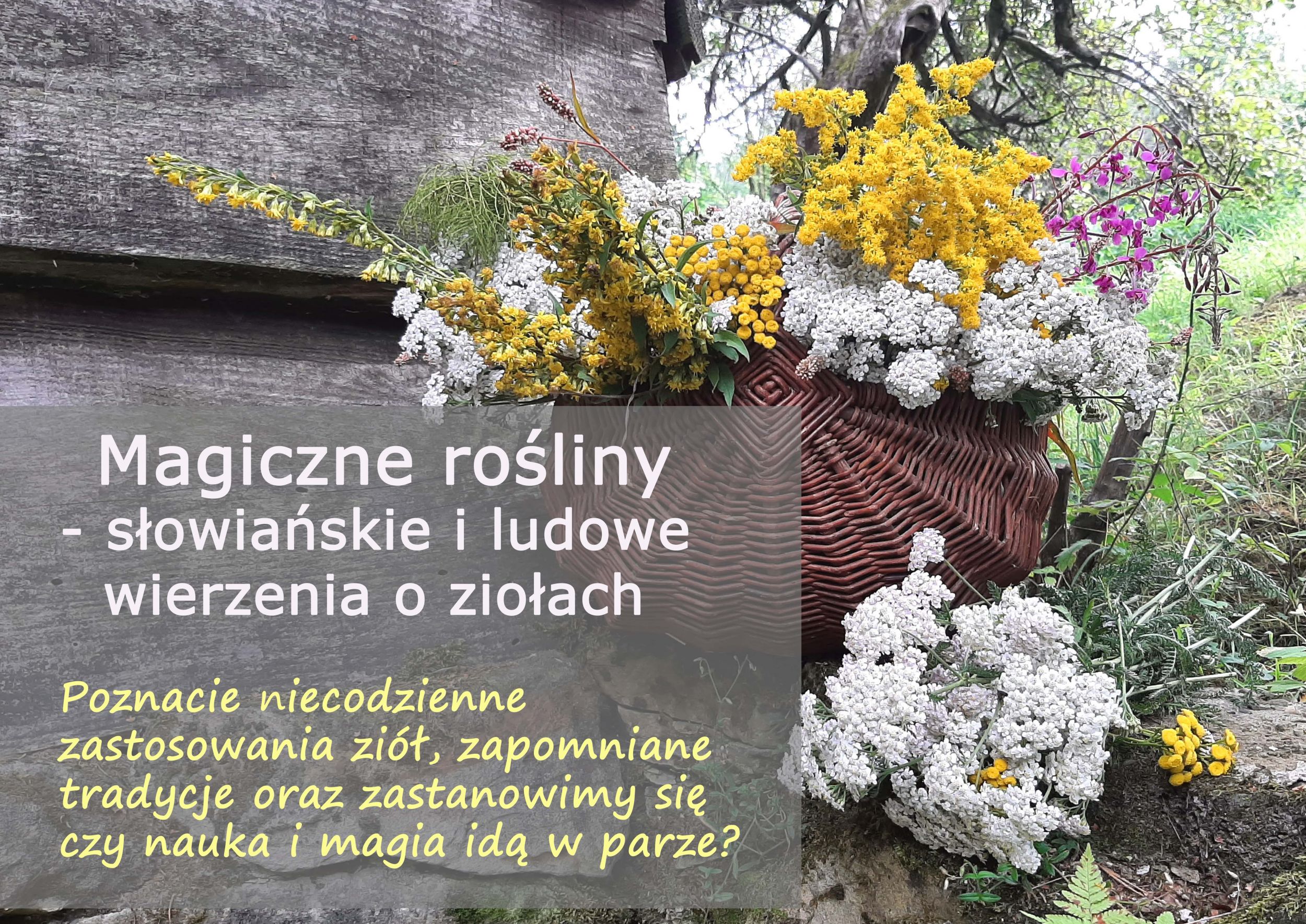 magiczne_rosliny_slowianskie_i_w_ludowych_wierzeniach-min.jpg