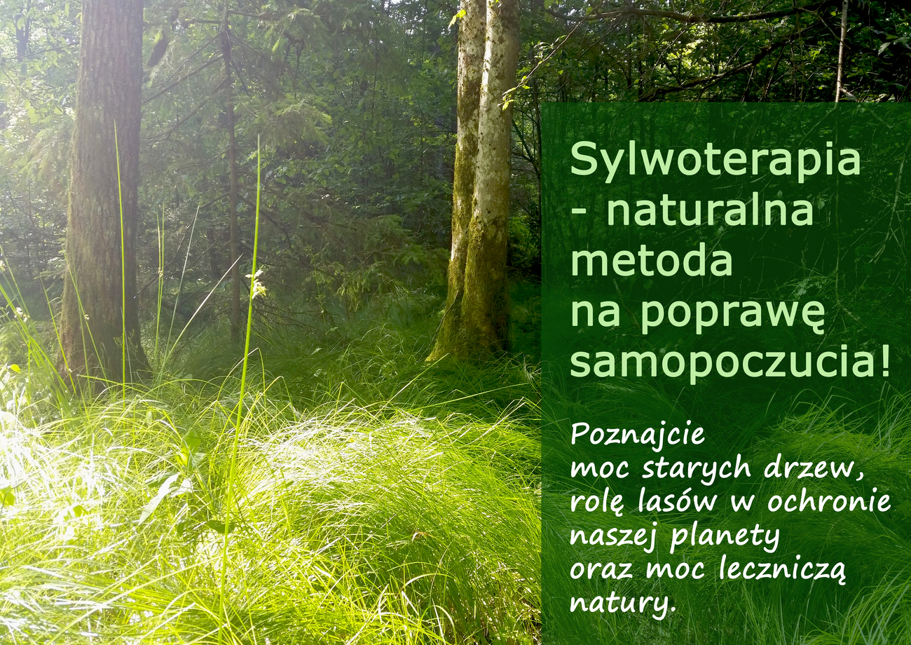 sylwoterapia_male.jpg